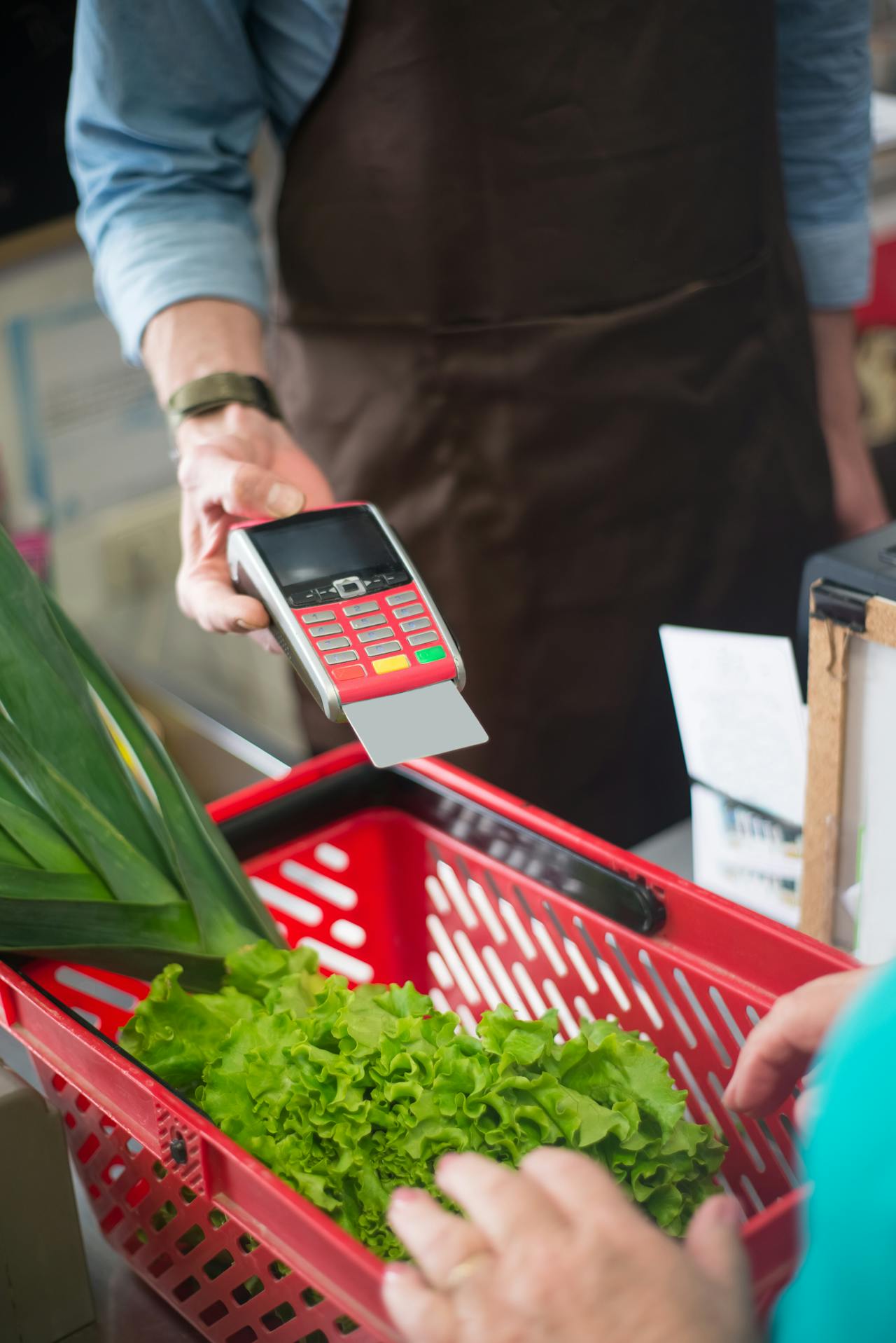 kampus-8422725